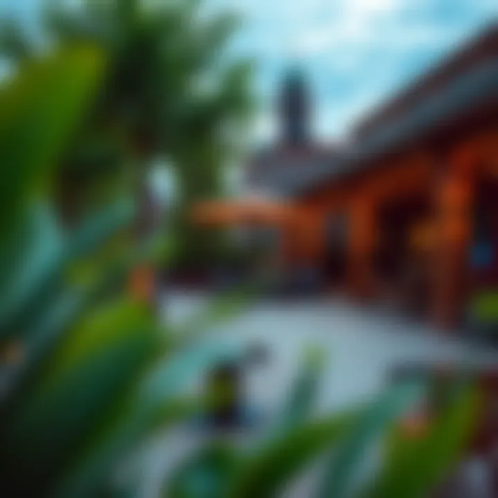 A picturesque outdoor area providing a relaxing ambiance for guests