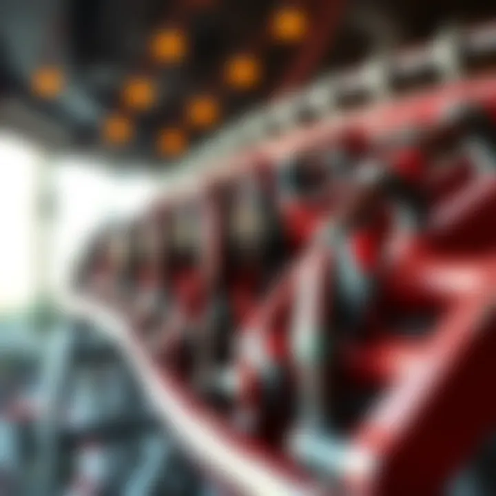 Close-up of the coaster's intricate design and engineering