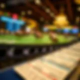 Overview of Betting Tickets in Horse Racing Detailed overview of horse racing betting tickets